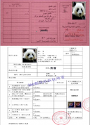 阿爾及利亞駕照翻譯車管所哪里有認(rèn)可的翻譯