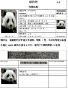 美國紐約駕駛執(zhí)照準駕車型D相當(dāng)于中國的什么級