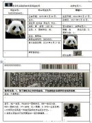 尼日利亞駕照翻譯中文翻譯模板