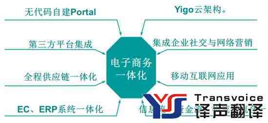 電子商務(wù)軟件翻譯