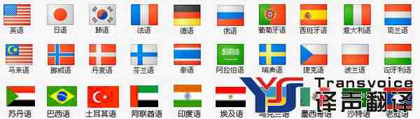 翻譯的形式和類型(圖1) 翻譯的形式和類型