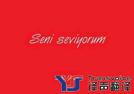 土耳其語(yǔ)翻譯.jpg