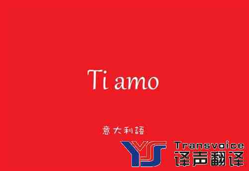 專業(yè)意大利語翻譯介紹