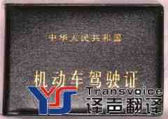中國駕照英語翻譯模板