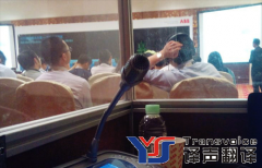電話翻譯、網(wǎng)絡(luò)視頻會議翻譯怎么做？