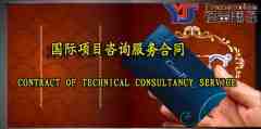 國(guó)際項(xiàng)目咨詢(xún)服務(wù)合同(中英文翻譯模板）