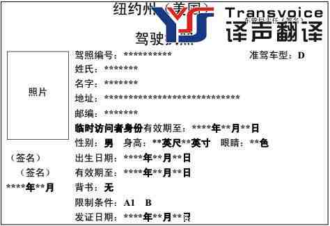 美國紐約州駕照翻譯模板(圖1)