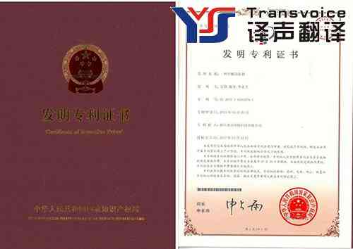 專利說明書翻譯