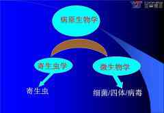 醫(yī)學翻譯之臨床醫(yī)學翻譯（一）醫(yī)學寄生蟲學