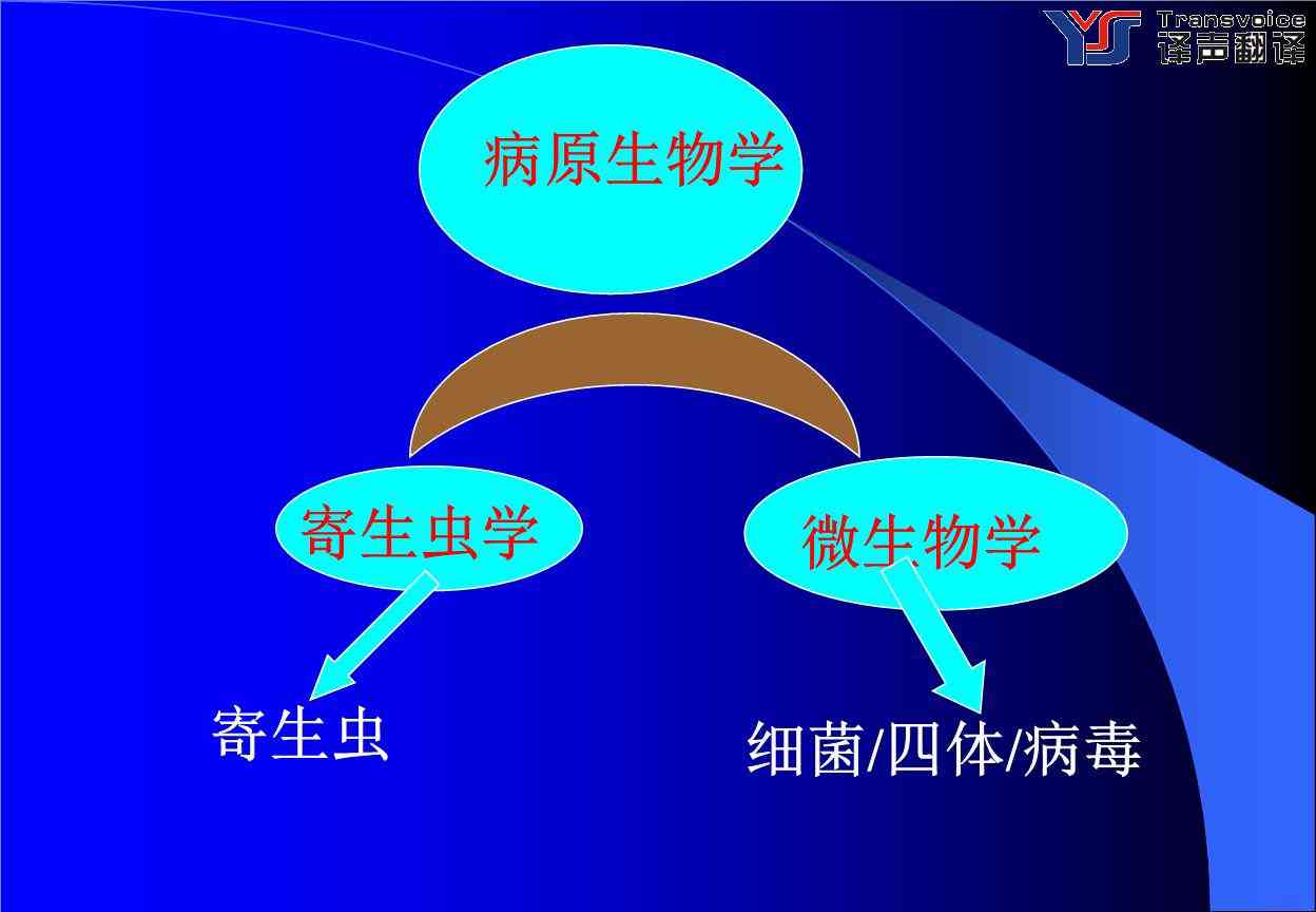 臨床醫(yī)學(xué)翻譯公司