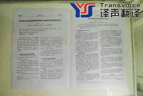 科技論文翻譯注意事項_科技論文翻譯公司
