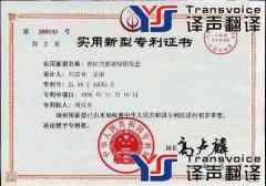 淺談專利說明書翻譯策略