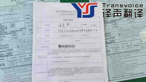 保險翻譯