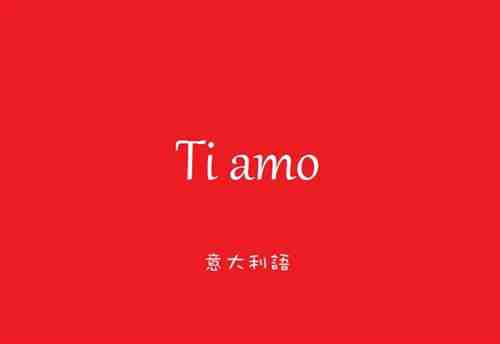 如何選擇意大利語翻譯公司(圖2) 正規(guī)意大利語翻譯公司