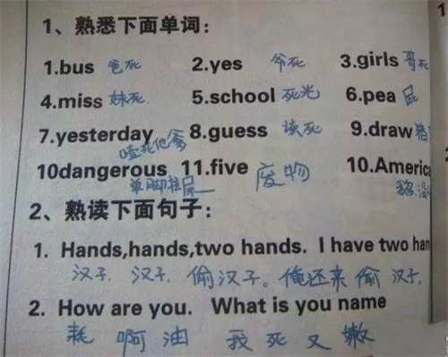 語言橋翻譯,英語學(xué)習(xí)