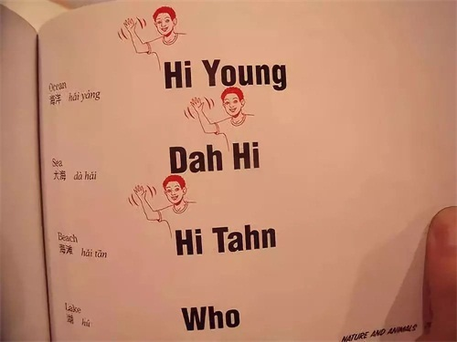 學(xué)習(xí)英語技巧,漢語學(xué)習(xí)