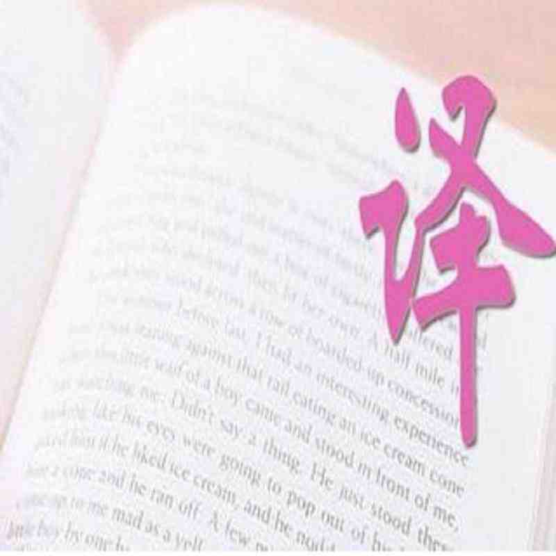 金融領(lǐng)域英漢翻譯