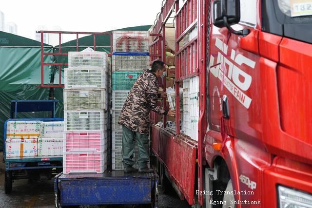 貨運物流暢通 smooth freight and logistics(圖1) 貨運物流暢通 smooth freight and logistics(圖1)