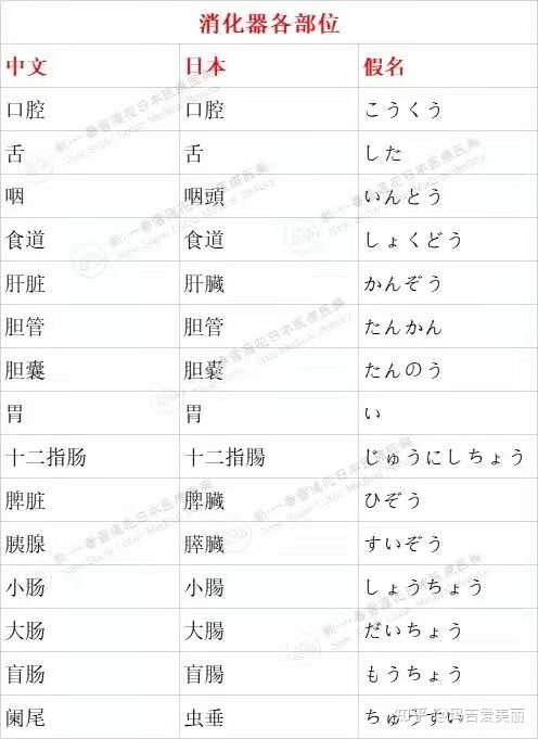 日語醫(yī)療翻譯服務(wù)怎么收費?(日語的復(fù)合型人才醫(yī)療翻譯)(圖2) 日語醫(yī)療翻譯服務(wù)怎么收費?(日語的復(fù)合型人才醫(yī)療翻譯)(圖2)