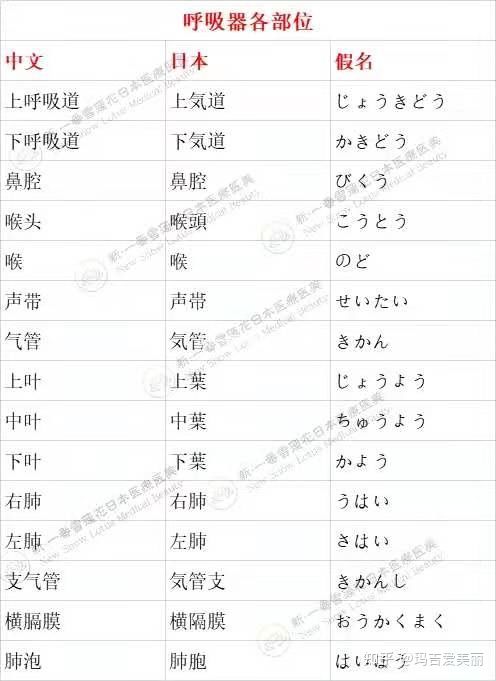 日語醫(yī)療翻譯服務(wù)怎么收費?(日語的復(fù)合型人才醫(yī)療翻譯)(圖3) 日語醫(yī)療翻譯服務(wù)怎么收費?(日語的復(fù)合型人才醫(yī)療翻譯)(圖3)
