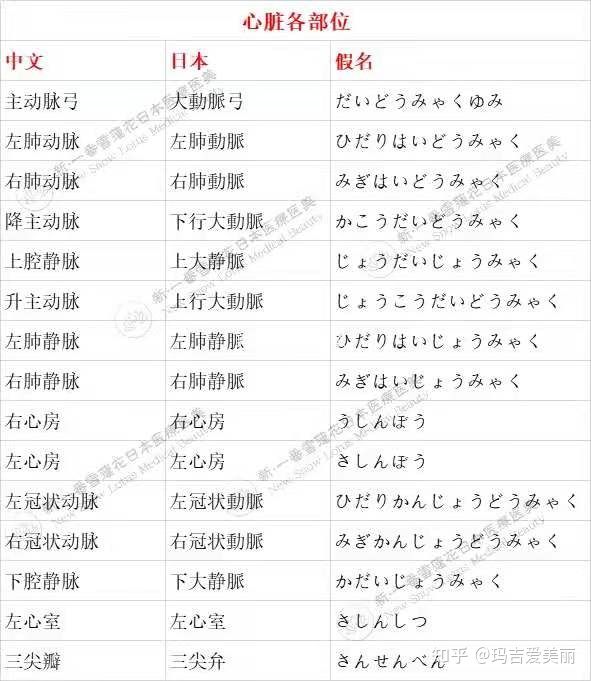 日語醫(yī)療翻譯服務(wù)怎么收費?(日語的復(fù)合型人才醫(yī)療翻譯)(圖4) 日語醫(yī)療翻譯服務(wù)怎么收費?(日語的復(fù)合型人才醫(yī)療翻譯)(圖4)
