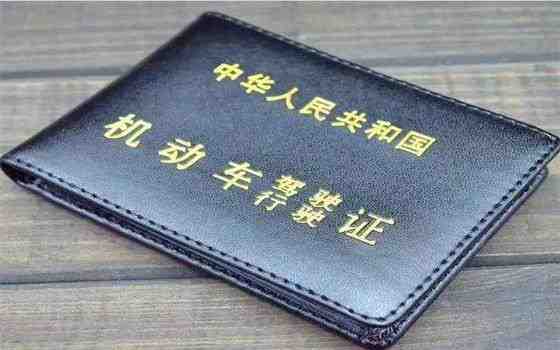 駕照翻譯件去哪里辦 駕照翻譯中有哪些服務(wù)優(yōu)勢(shì)(圖1) 駕照翻譯