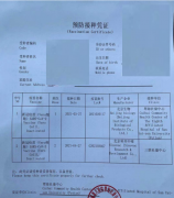 新冠疫苗接種憑證證明翻譯如何辦理?